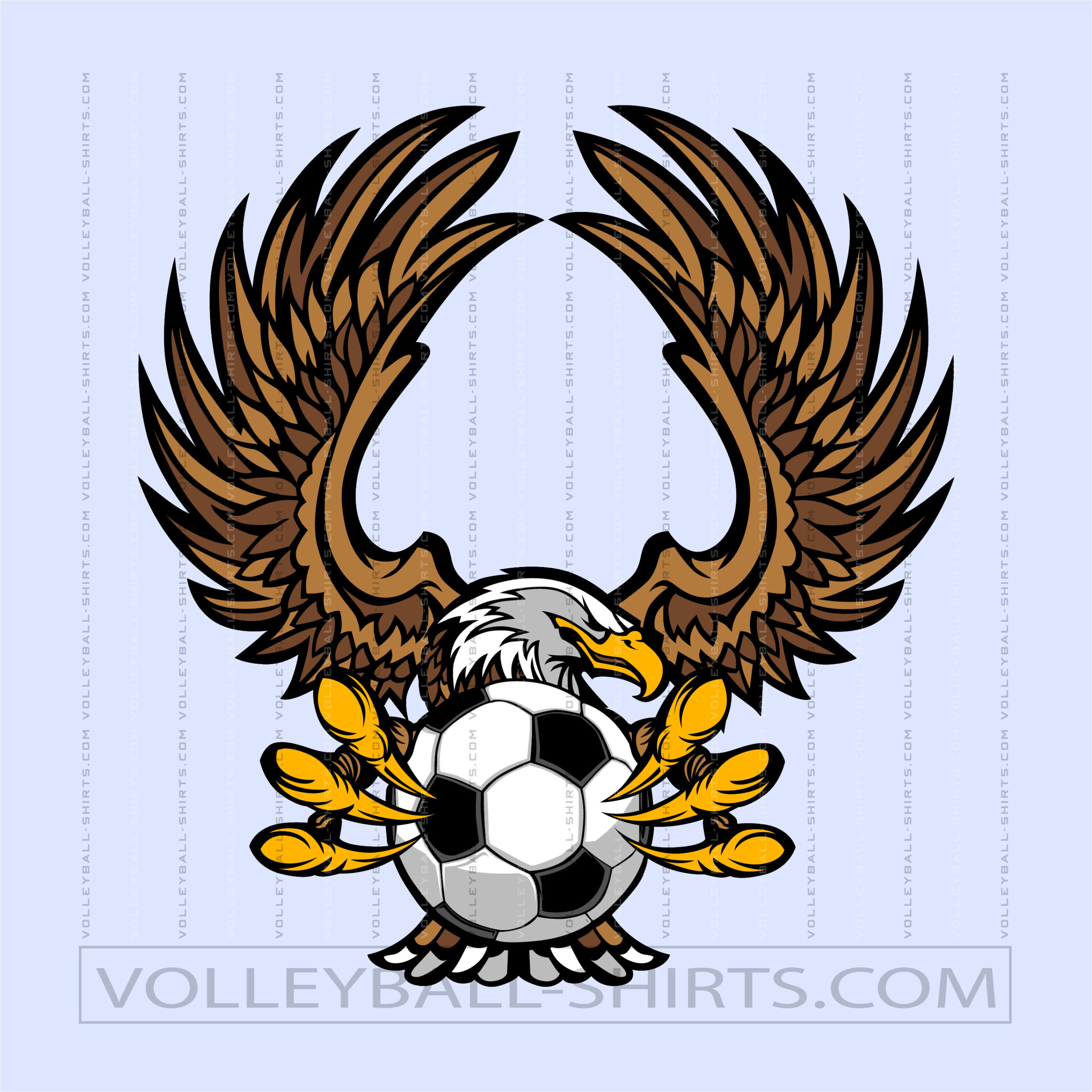 Raptor Soccer Logo